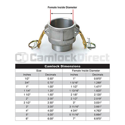 Stainless Steel 1/2" Female Camlock x 1/2" Male NPT