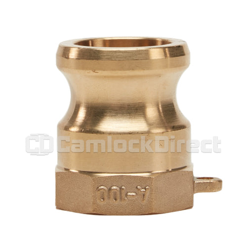 Brass 1" Male Camlock x 1" Female NPT