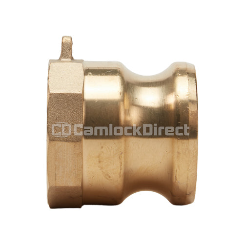 Brass 1 1/2" Male Camlock x 1 1/2" Female NPT