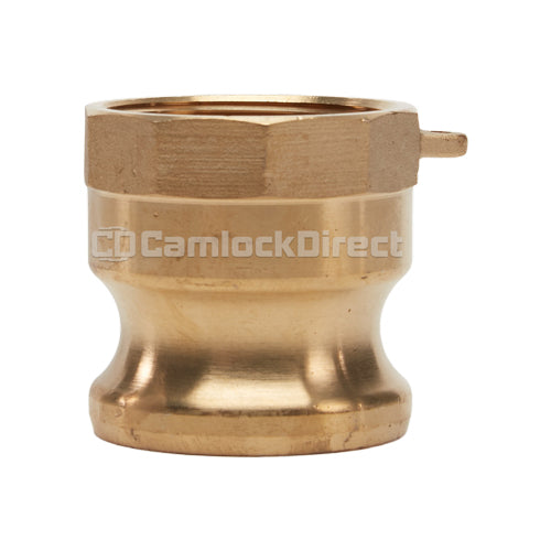 Brass 1 1/2" Male Camlock x 1 1/2" Female NPT