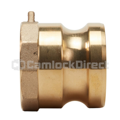 Brass 2" Male Camlock x 2" Female NPT