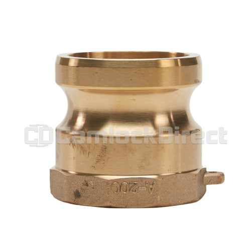 Brass 2" Male Camlock x 2" Female NPT