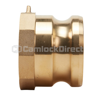 Brass 2 1/2" Male Camlock x 2 1/2" Female NPT