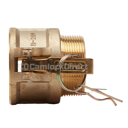 Brass 2" Female Camlock x 2" Male NPT