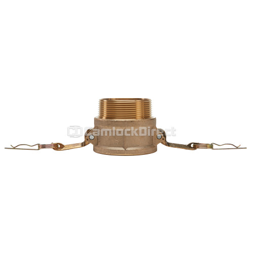 Brass 3" Female Camlock x 3" Male NPT