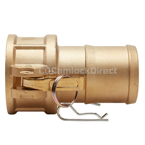 Brass 2" Female Camlock to Hose Shank