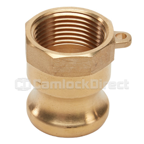 Brass 1 1/4" Male Camlock x 1 1/4" Female NPT