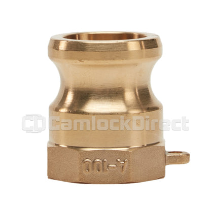 Brass 1 1/4" Male Camlock x 1 1/4" Female NPT