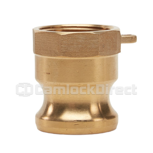 Brass 1 1/4" Male Camlock x 1 1/4" Female NPT