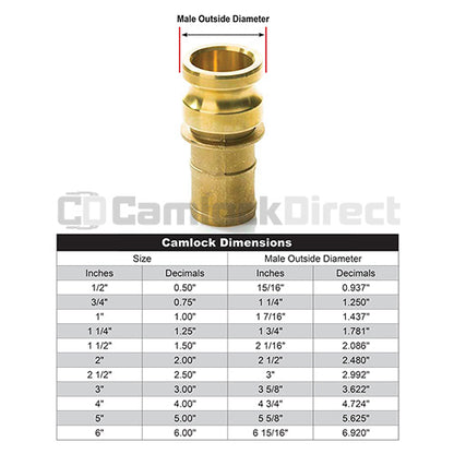 Brass 1/2" Male Camlock to Hose Shank