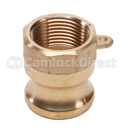 Brass 1/2" Male Camlock x 1/2" Female NPT (USA)