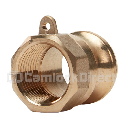 Brass 1/2" Male Camlock x 1/2" Female NPT (USA)