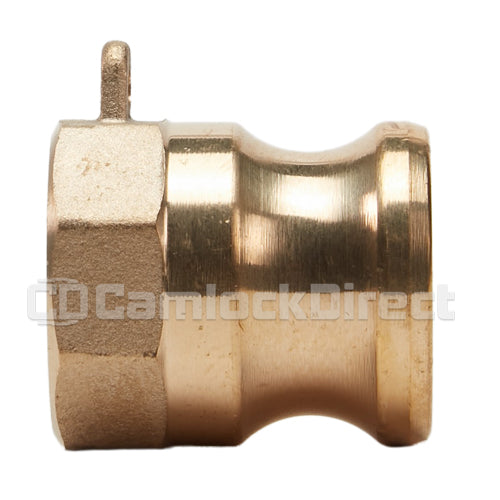 Brass 1/2" Male Camlock x 1/2" Female NPT (USA)