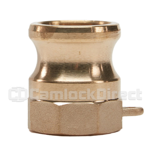 Brass 1/2" Male Camlock x 1/2" Female NPT (USA)