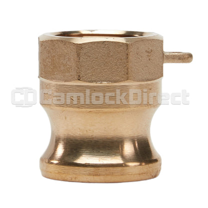 Brass 1/2" Male Camlock x 1/2" Female NPT (USA)