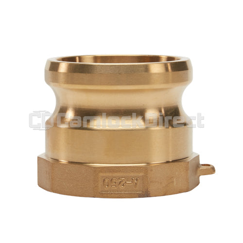 Brass 2 1/2" Male Camlock x 2 1/2" Female NPT (USA)