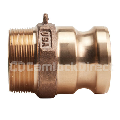 Brass 2" Male Camlock x 2" Male NPT (USA)