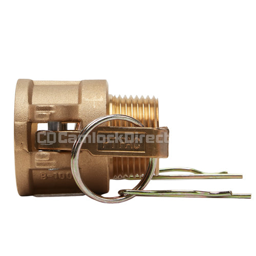 Brass 1" Female Camlock x 1" Male NPT (USA)